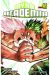 MY HERO ACADEMIA 41