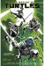 TEENAGE MUTANT NINJA TURTLES TP VOL 01 RETURN TO NEW YORK [EN INGLÉS]