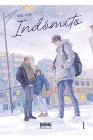 INDOMITO: SA YE EDICI&Oacute;N ESPECIAL 1