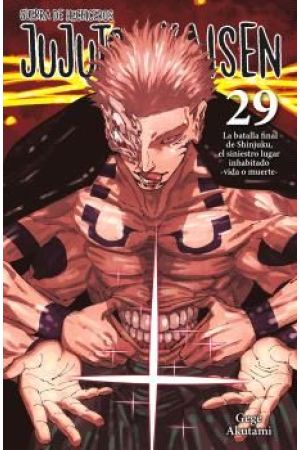 JUJUTSU KAISEN 29
