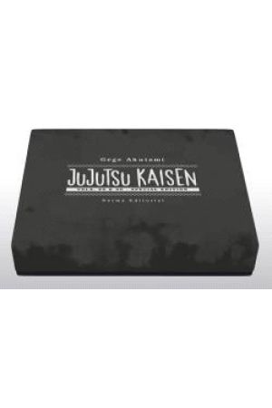 JUJUTSU KAISEN 29 Y 30 EDICI&Oacute; ESPECIAL LIMITADA [CATAL&Aacute;N]