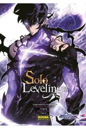 SOLO LEVELING 13