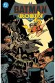 BATMAN & ROBIN YEAR ONE TP [EN INGLÉS]