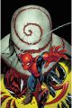 EL ASOMBROSO SPIDERMAN 260 / 8