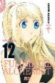 FULL METAL ALCHEMIST KANZENBAN 12