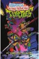 HISTORIAS DE LAS TEENAGE MUTANT NINJA TURTLES. UN VERANO MUY