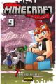 MINECRAFT 9