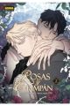 ROSAS Y CHAMPAN 2