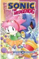 SONIC THE HEDGEHOG. AMY ESPECIAL 30 ANIVERSARIO