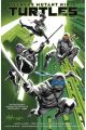 TEENAGE MUTANT NINJA TURTLES TP VOL 01 RETURN TO NEW YORK [EN INGLÉS]